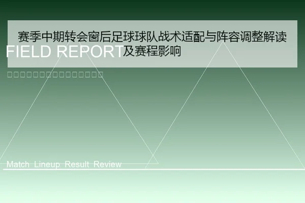 赛季中期转会窗后足球球队战术适配与阵容调整解读及赛程影响